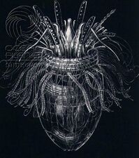 Armoured Pliciloricus enigmaticus, about 0.2 mm long, live in spaces between marine gravel.