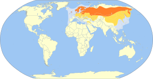 Larus canus map.svg