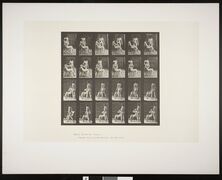 Original collotype