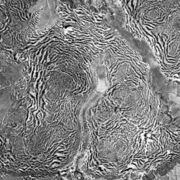 Aerial view of a tiger bush plateau in Niger