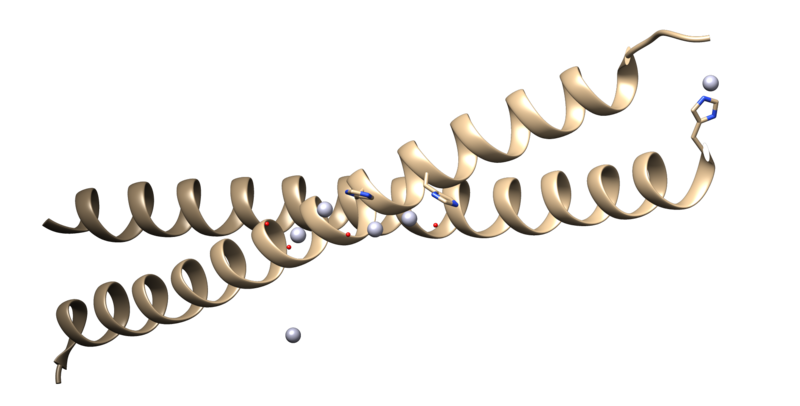 ملف:MITF protein.png