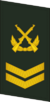 PLAGF-Collar-0706-4CSGT.png