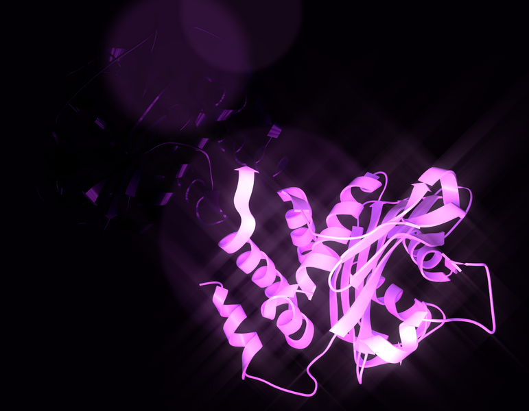 ملف:SLC4A8.png