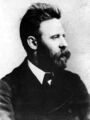 يوهان موست (1846–1906)