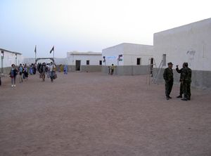 تفاريتي، 2005