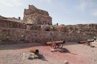 قلعه پرتقاليها Portuguese Castle - panoramio (5) (cropped).jpg