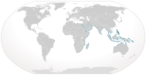 World map with blue coloring all around the periphery of the Indian Ocean from South Africa to northern Australia, and through Southeast Asia including the Philippines and New Guinea