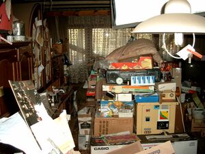 Compulsive hoarding Apartment.jpg