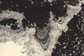 Stalactitic cement in sediment from the supratidal zone, vadose environment, top of "shallowing upward" sequence. Middle Liassic, High Atlas. Thin section. L = 0.3 mm.