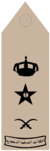 FARIQ (Field uniforms).png