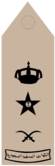 FARIQ (Field uniforms).png