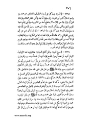 الصفحة التالية &larr;