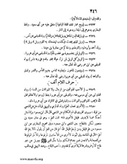 الصفحة التالية &larr;