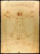 Proportion: Leonardo's Vitruvian Man, c. 1490