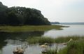 Stony Brook, NY