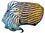 Striped pyjama squid (white background).jpg