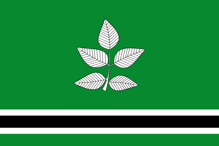 ملف:Bandera de Vidrà.svg