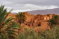 مدينة أرفود