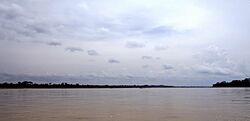 Napo River.jpg