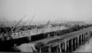 Feluccas at fisherman's wharf at the foot of Union Street in San Francisco, California, in 1891