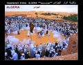 ادرار الجزائر