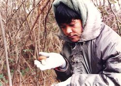 Matsutakeredpinemushroomhunting.jpg