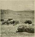 المساكن الأصلية (1903)