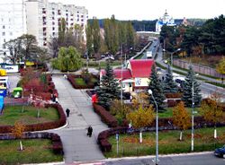 Netishyn