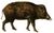 Recherches pour servir à l'histoire naturelle des mammifères (Pl. 80) (white background).jpg