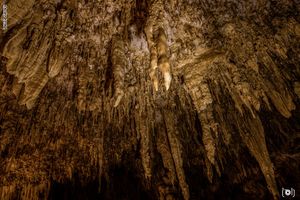 نقوش كهف الجارة.jpg