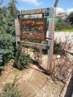 Moshav Zar'it.JPG
