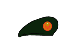 Thunderbolt General Beret - Egyptian Army.png