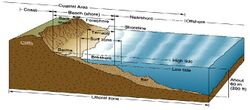 Littoral Zones.jpg