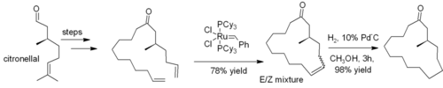 Ring-closing metathesis used in synthesis of muscone