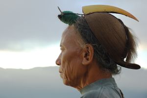 Nishi tribal lightened.jpg