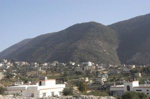 عرب صاليم عام 2008.