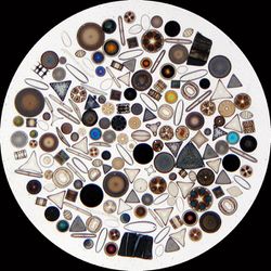 Diatom2.jpg