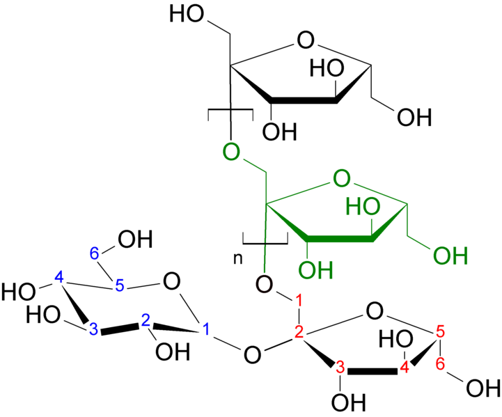 ملف:Inulin strukturformel.png