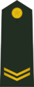PLAGF-0702-PFC.png