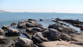Heishijiao, Shahekou, Dalian, Liaoning, China, 116000 - panoramio (7).jpg