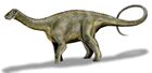 Nigersaurus taqueti