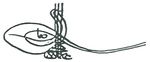 Tughra of Osman II.JPG