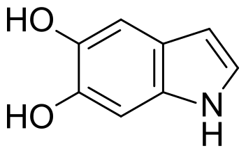 ملف:5,6-dihydroxyindole.svg