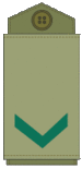 OR6 IDF Rav-Samal.gif