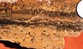 Vadose stalactitic cement filling an horizontal cavity in a marine coastal sediment, outer platform. Birdseyes in the allodapic (tidal or tempestite) grainstone point to an aerial diagenesis. High Atlas, Morocco.