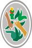 درع أكاپولكو