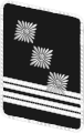 NSKK gorget patch