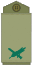 OF6 IDF Tat-Aluf.gif