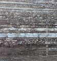 Outcrop of Ordovician kukersite oil shale, northern Estonia