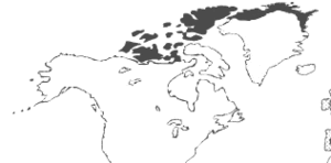 Arcticwolf distribution.gif